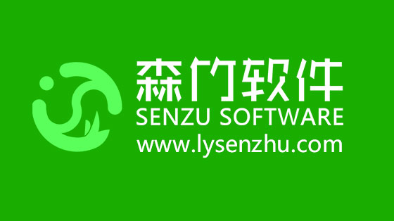 選擇森竹軟件服務，開發(fā)少走很多彎路！